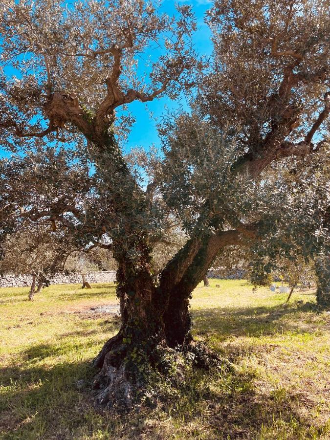 Trulli Mancinella Βίλα Locorotondo Εξωτερικό φωτογραφία