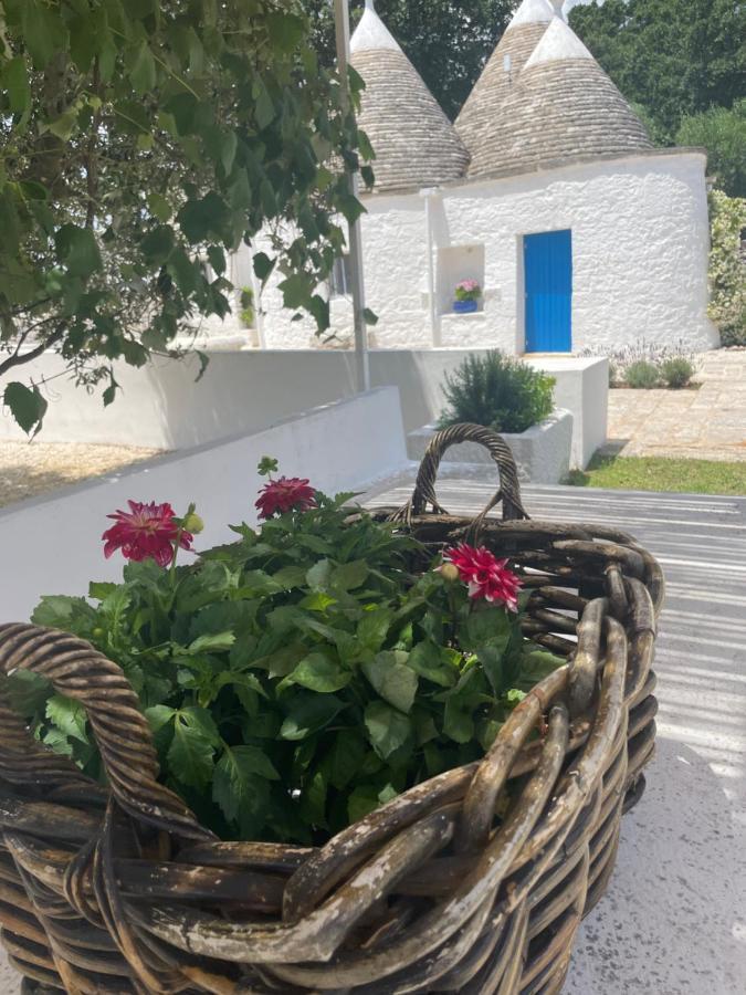 Trulli Mancinella Βίλα Locorotondo Εξωτερικό φωτογραφία