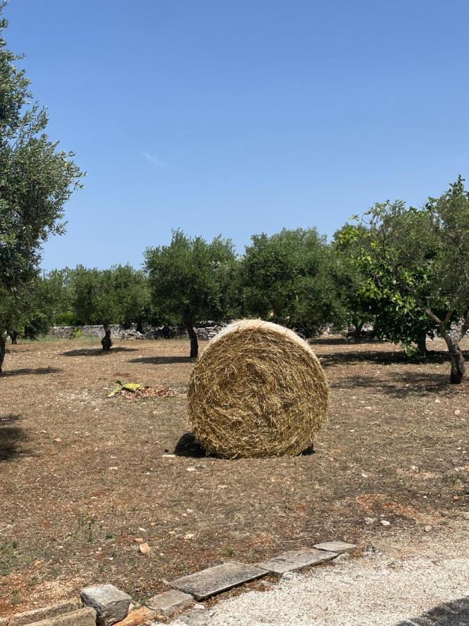 Trulli Mancinella Βίλα Locorotondo Εξωτερικό φωτογραφία